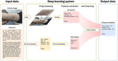 Deep skin diseases diagnostic system with Dual-channel Image and Extracted Text
